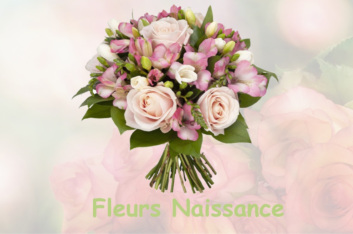 fleurs naissance SAINT-PLANCARD