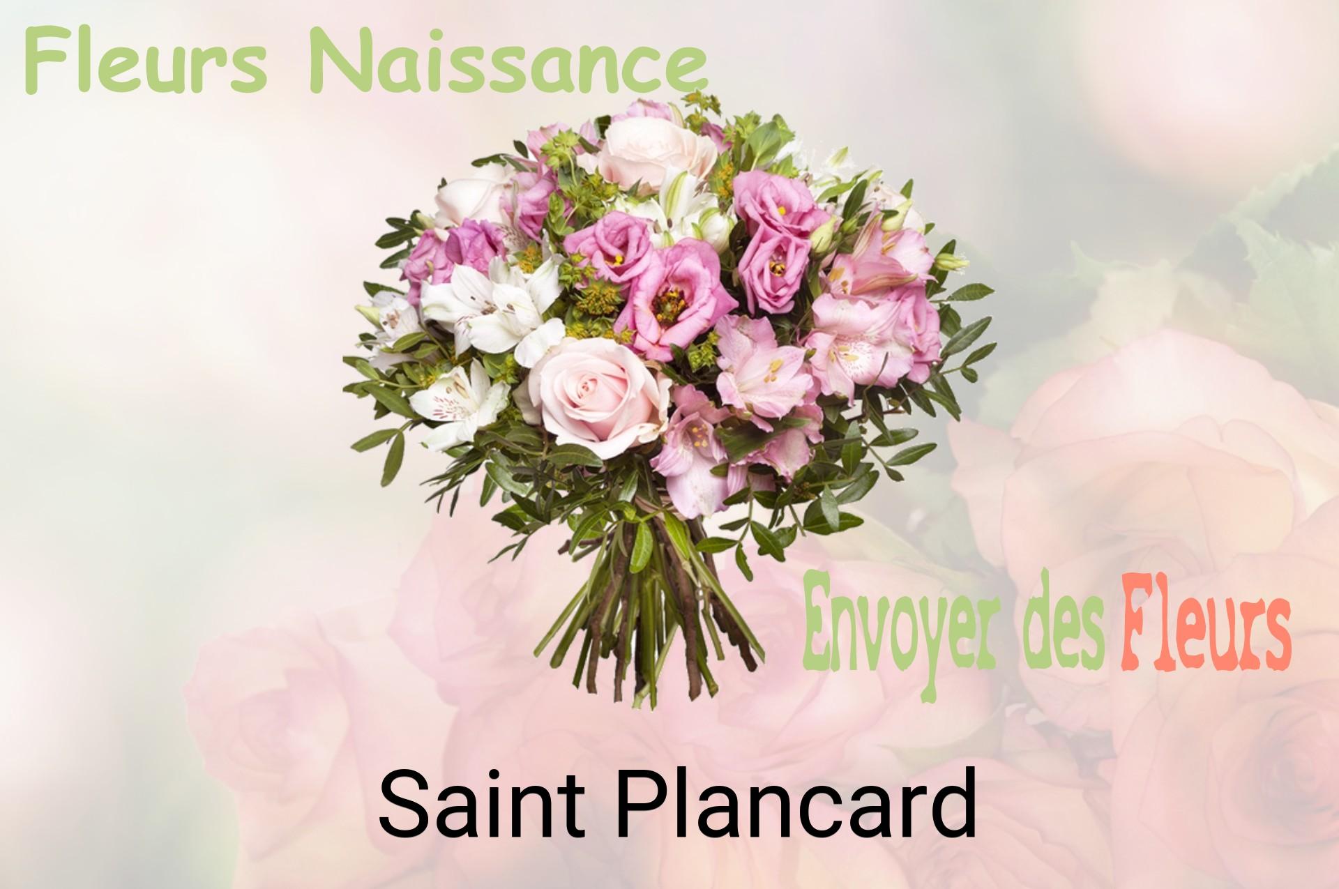 Bouquet de fleurs de naissance livré à Saint-Plancard