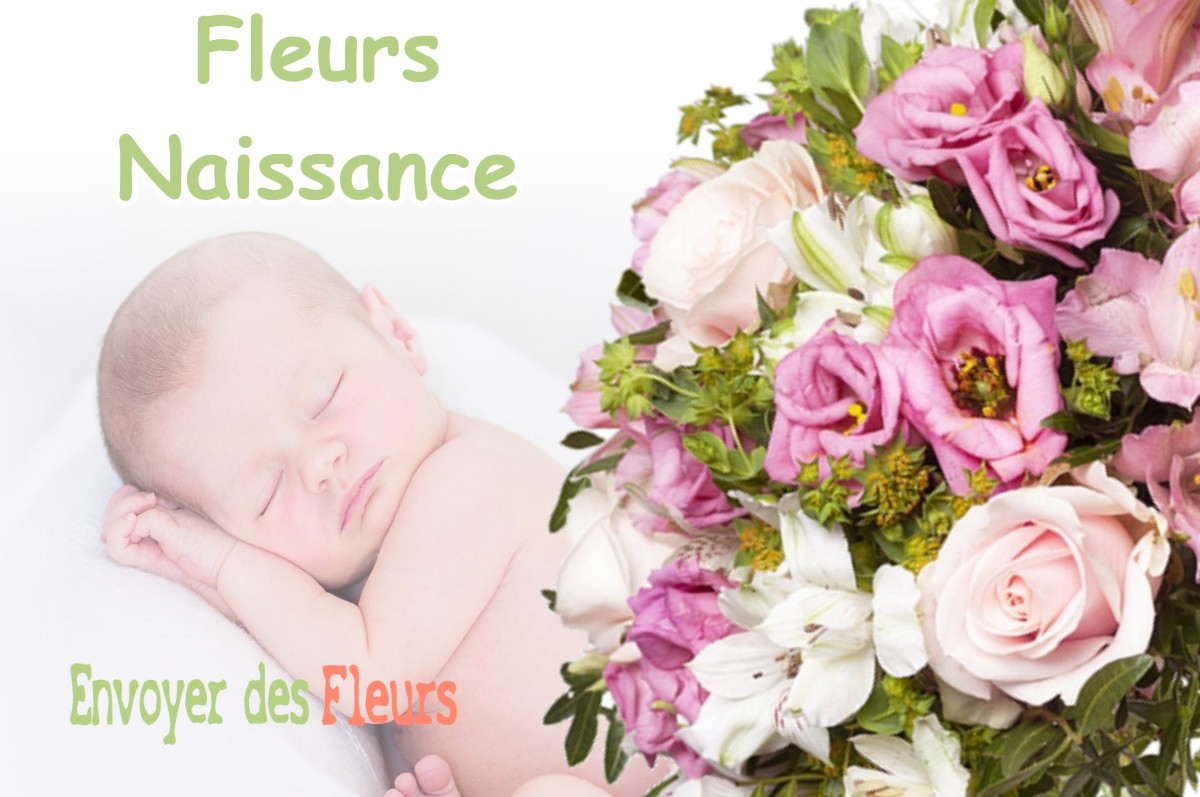 lIVRAISON FLEURS NAISSANCE à SAINT-PLANCARD