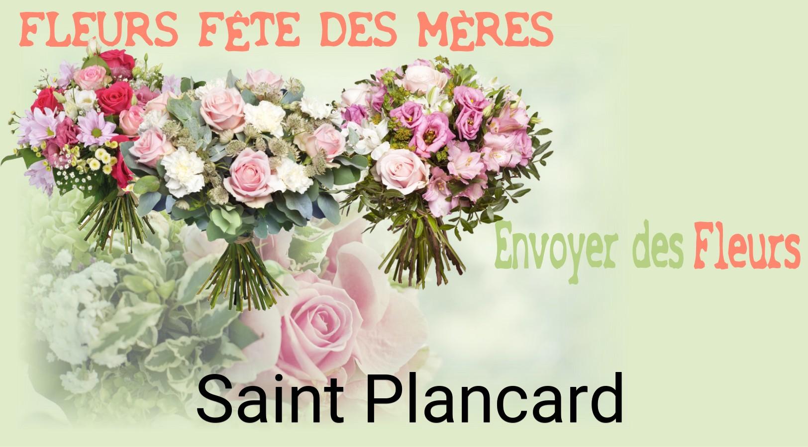 Bouquet de Fête des Mères livré à Saint-Plancard